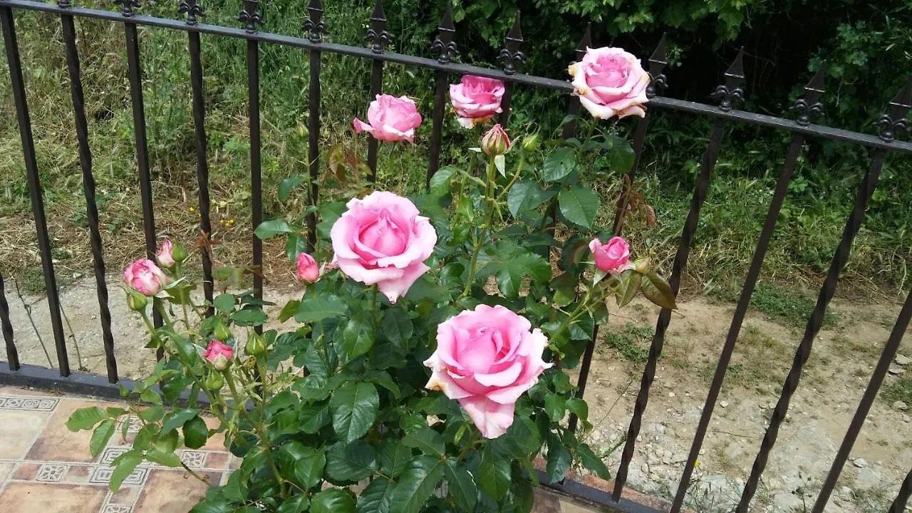 Holiday home Maria Villa Cortegana