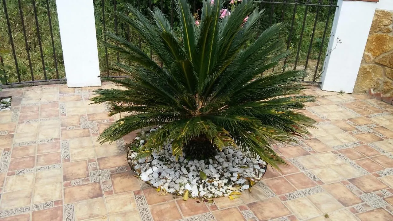 Maria Βίλα Cortegana