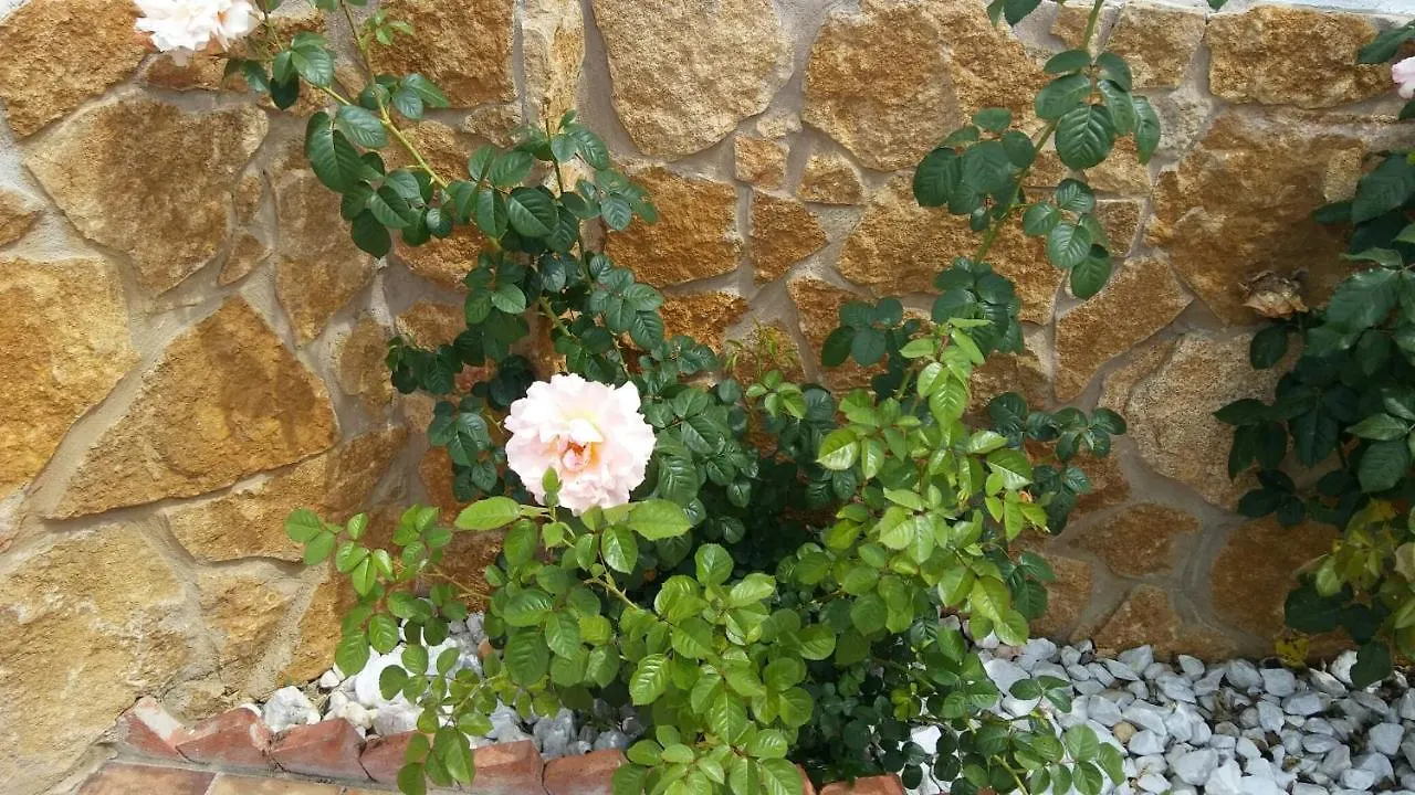 Maria Villa Cortegana 0*,